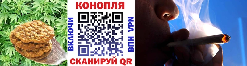 мориарти официальный сайт kraken как войти Тимашёвск Cannafood конопля