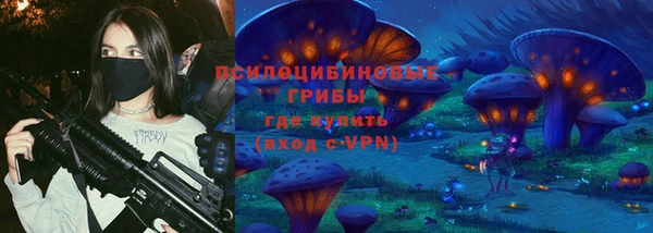 кокс Вяземский