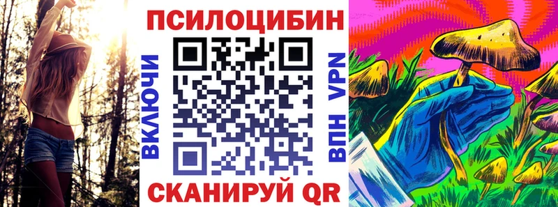 ссылка на мегу ссылки  площадка клад  Галлюциногенные грибы Cubensis  Тимашёвск 